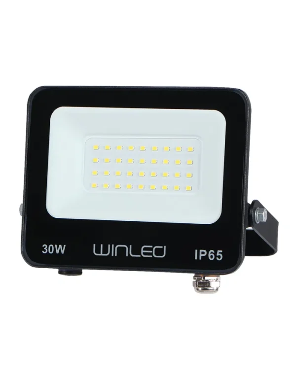 WRE-012 REFLECTOR LED SMD 30W